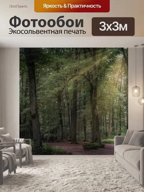 Фотообои Лес
