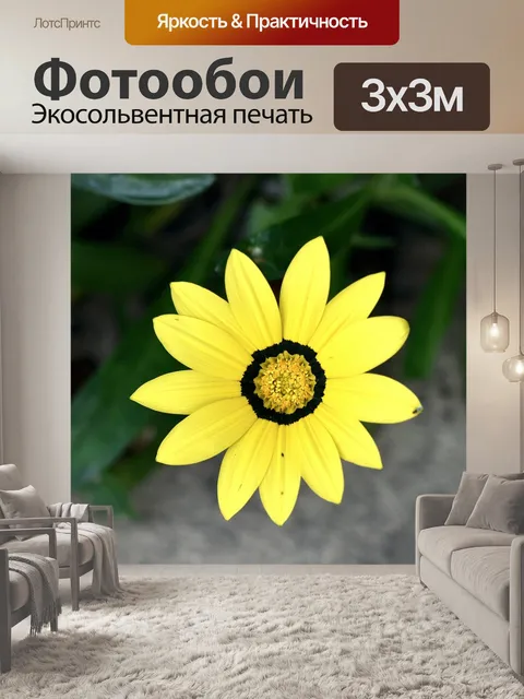 Фотообои Флора