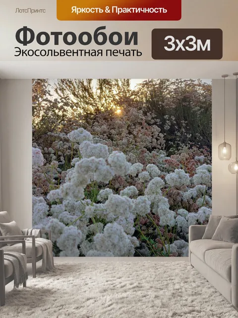 Фотообои Цветы гречихи