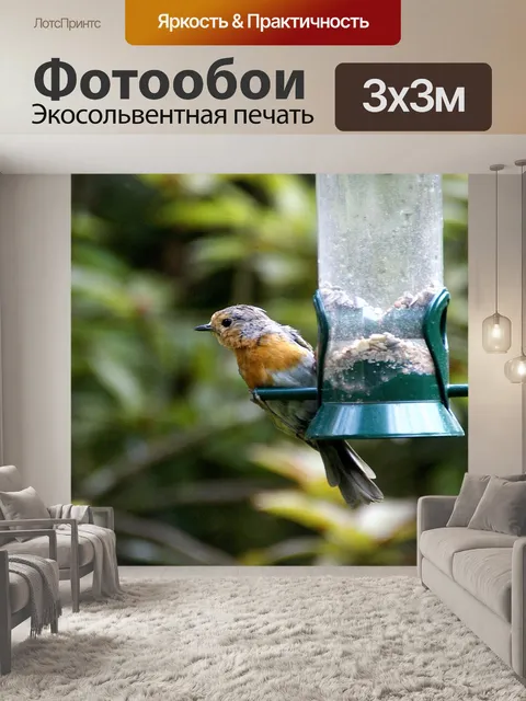Фотообои Маленькая птичка