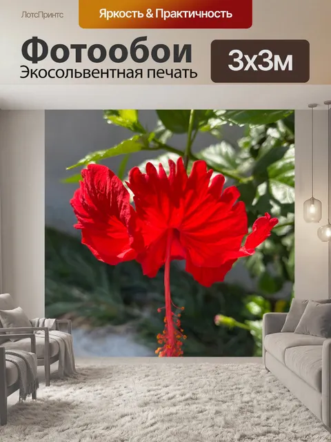 Фотообои Темно-красный гибискус