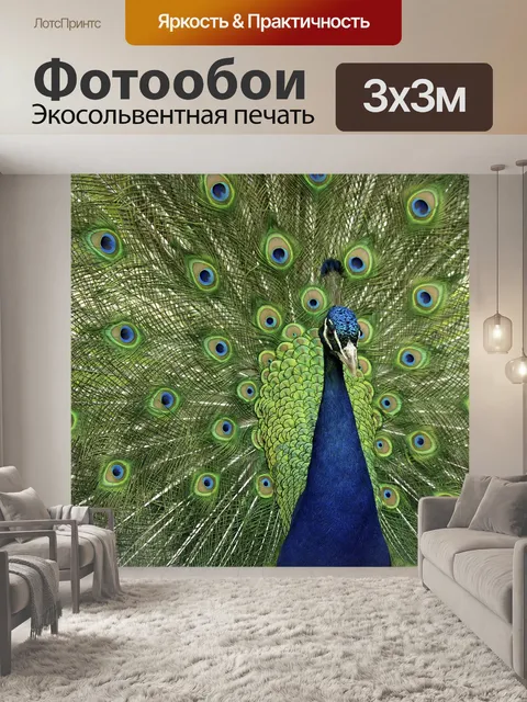 Фотообои Гордый павлин