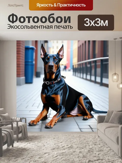 Фотообои доберман в городской среде