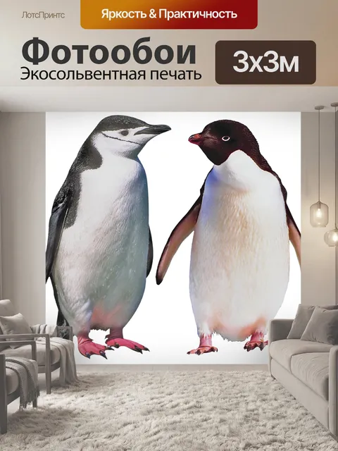 Фотообои Пингвины