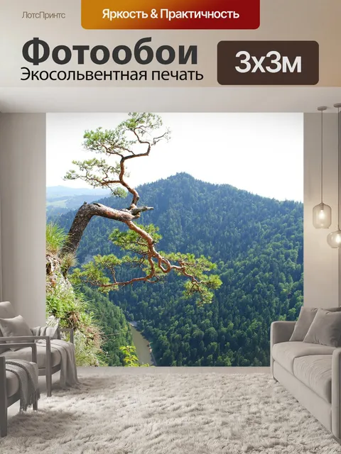 Фотообои Гора