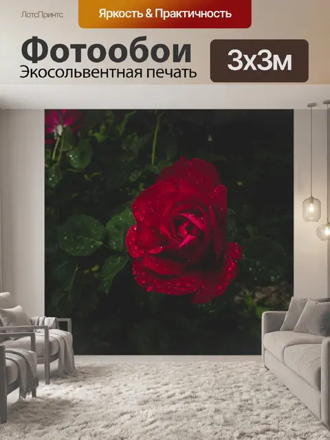 Фотообои Розовый