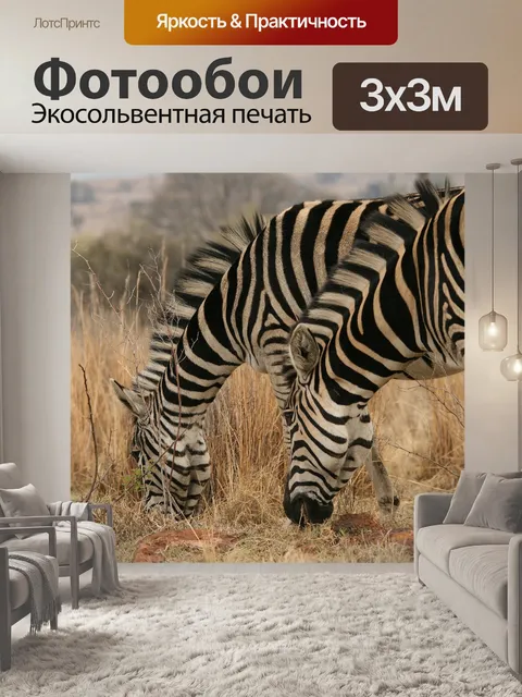 Фотообои две зебры вместе