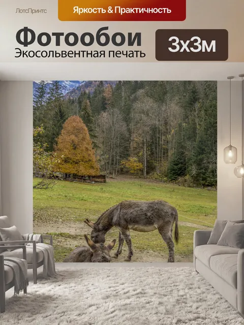 Фотообои Осел, пасущийся в горах