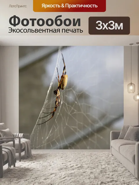 Фотообои Желтый и черный паук на веб-