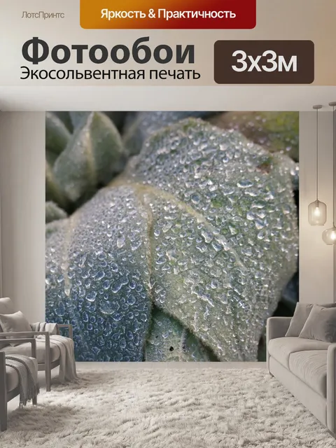 Фотообои Полевой цветок