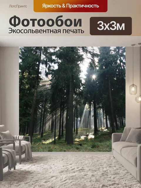 Фотообои Лес