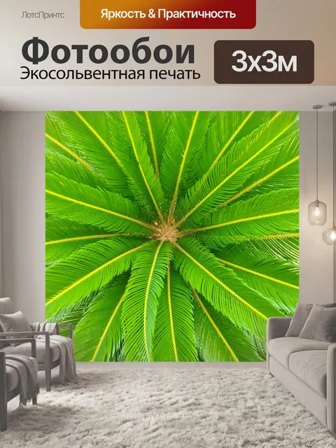 Фотообои Декоративная пальма