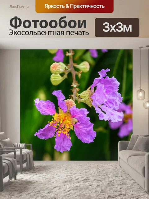 Фотообои Креп мирт