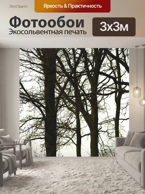 Фотообои Белая кошка