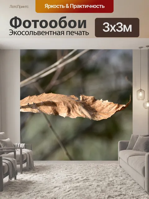 Фотообои лист
