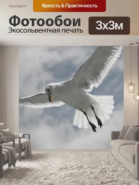 Фотообои Сельдь чайка