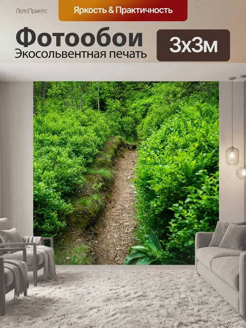 Фотообои Лесная тропа