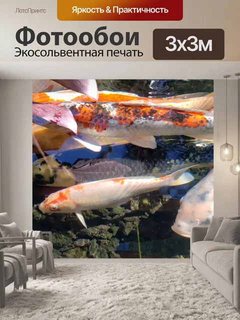 Фотообои Рыба кои