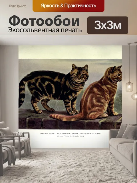 Фотообои Кошка котенок рисует старый
