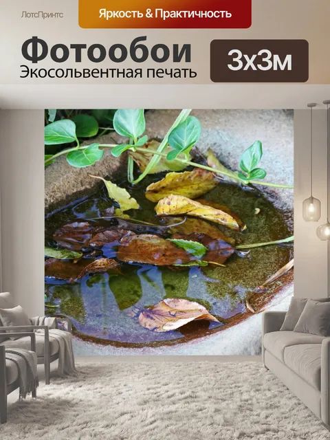 Фотообои сушить листья в ванне для птиц с водой