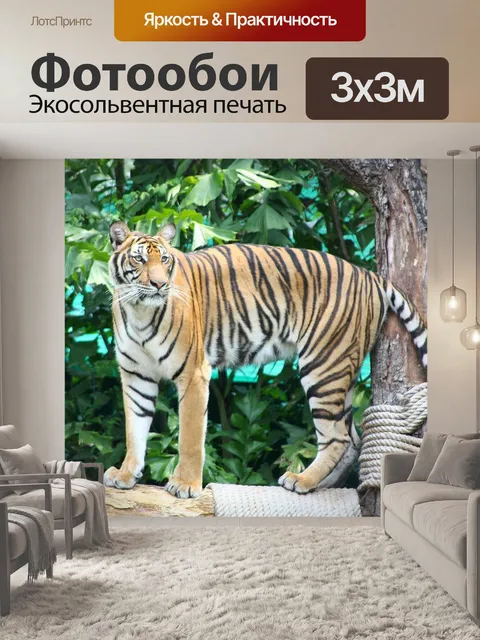 Фотообои Тигр