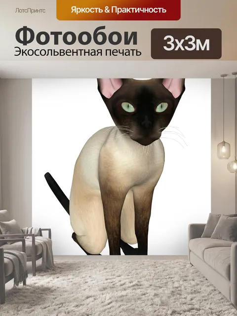 Фотообои тощий кот