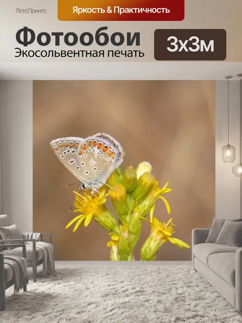 Фотообои Голубая бабочка