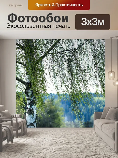 Фотообои Береза