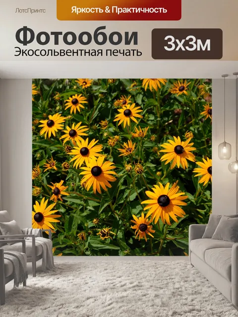 Фотообои Цвет глаз Сьюзен