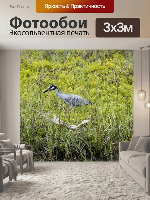 Фотообои голубая цапля