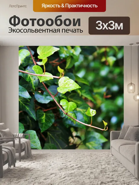 Фотообои плющ бегун с каплями дождя