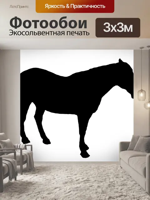 Фотообои Лошадь силуэт