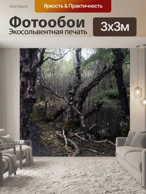 Фотообои Прованс