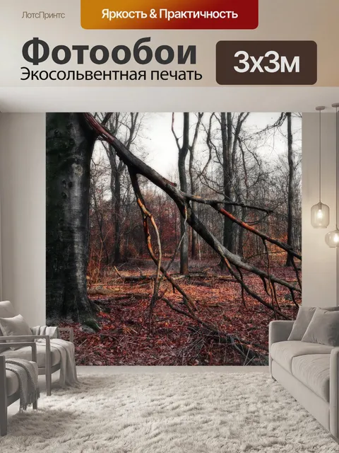 Фотообои Деревья лес осенняя листва