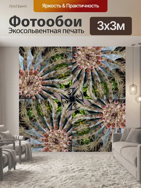 Фотообои Кактус калейдоскоп фон