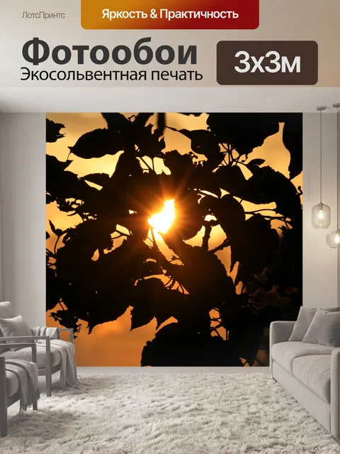 Фотообои Вспышка солнца через листву