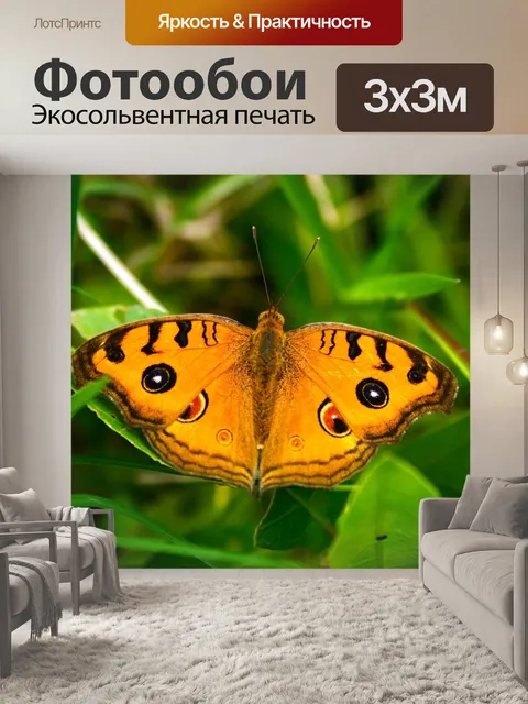 Фотообои Бабочка