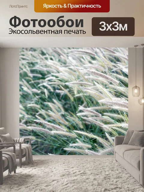 Фотообои Полевые цветы