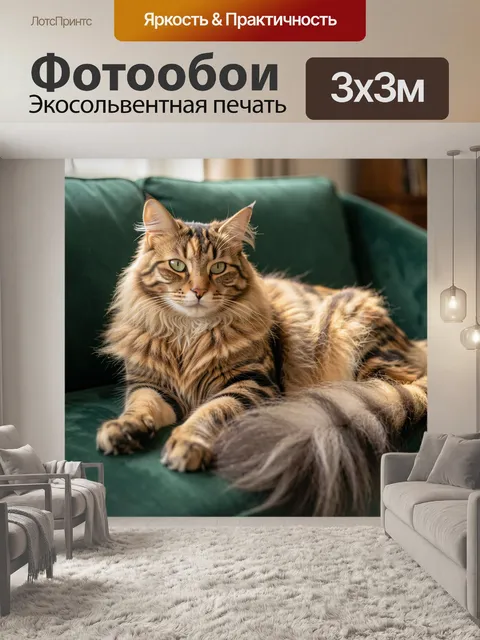 Фотообои Рыжий пушистый кот на диване