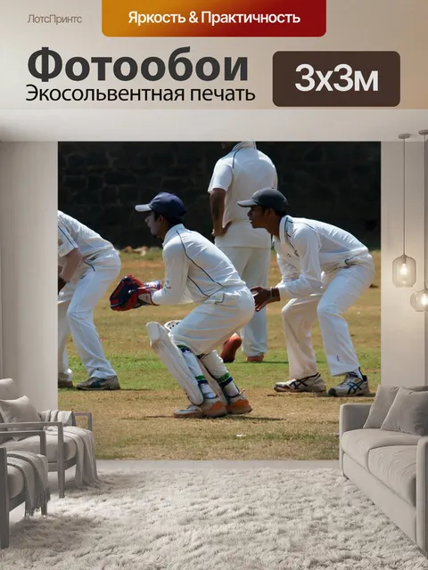 Фотообои Промахи