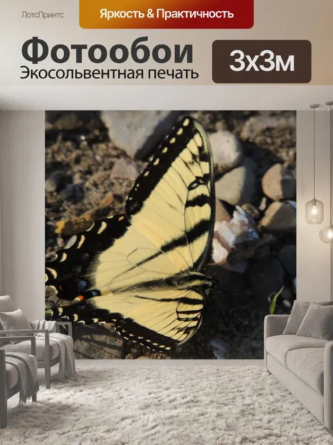 Фотообои макро желтая бабочка