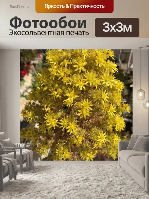 Фотообои Цветы