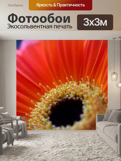 Фотообои Красные герберы ромашка II