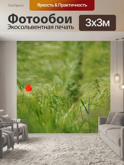 Фотообои Мак
