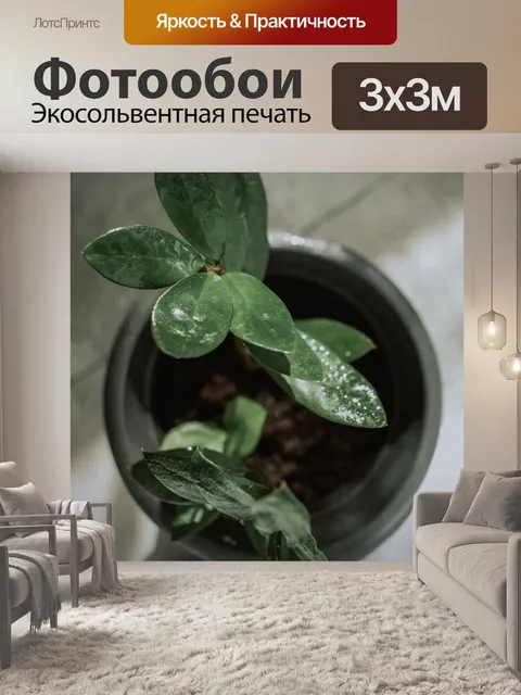 Фотообои Листья