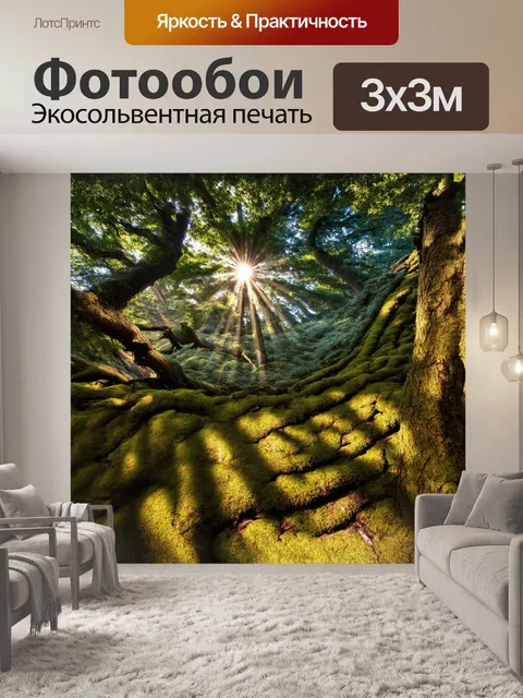 Фотообои ослепительно яркие лучи солнца проникают сквозь зелень кавказского леса