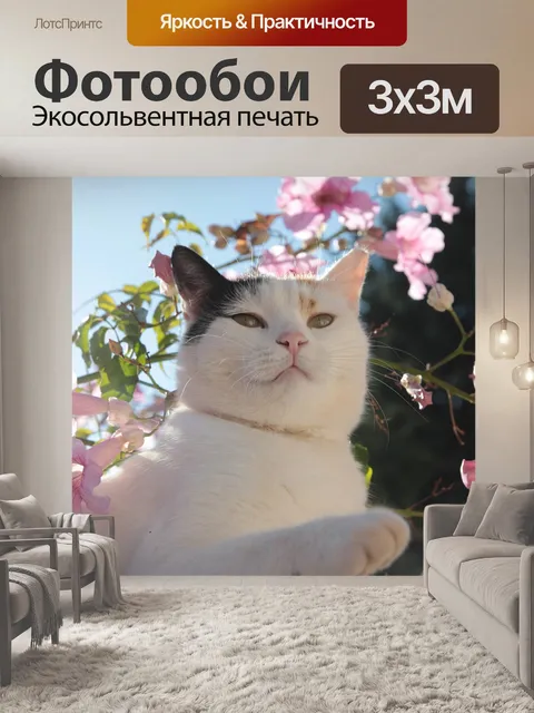 Фотообои Кот