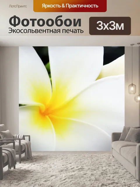 Фотообои Белый Gumamela