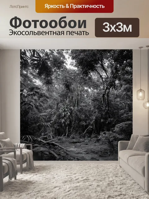 Фотообои джунгли в черно-белом стиле