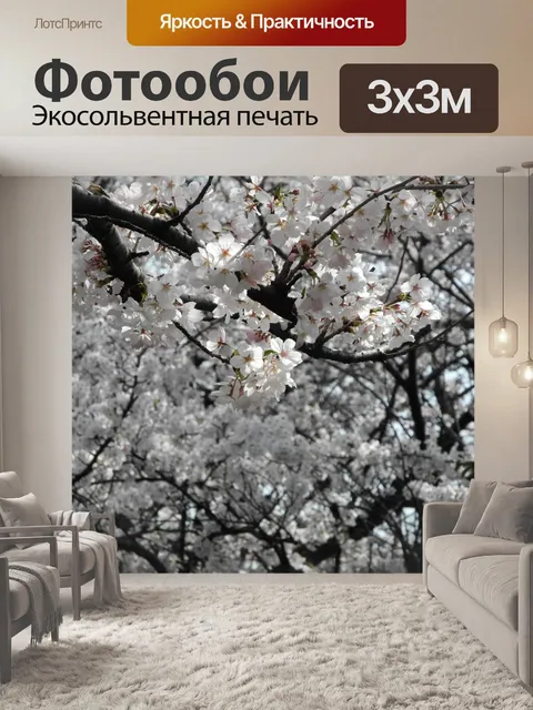Фотообои Вишни в цвету